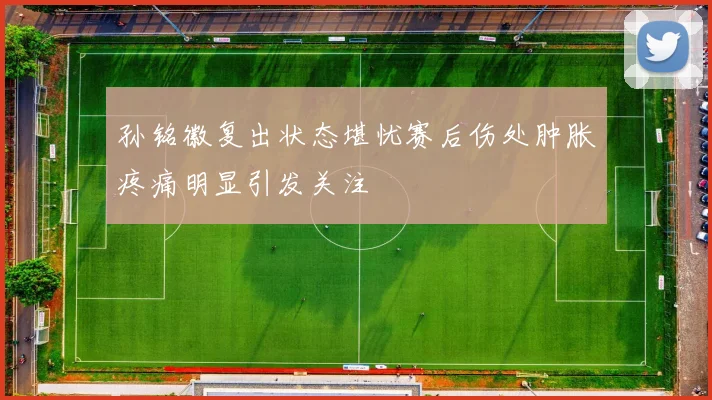 孙铭徽复出状态堪忧赛后伤处肿胀疼痛明显引发关注