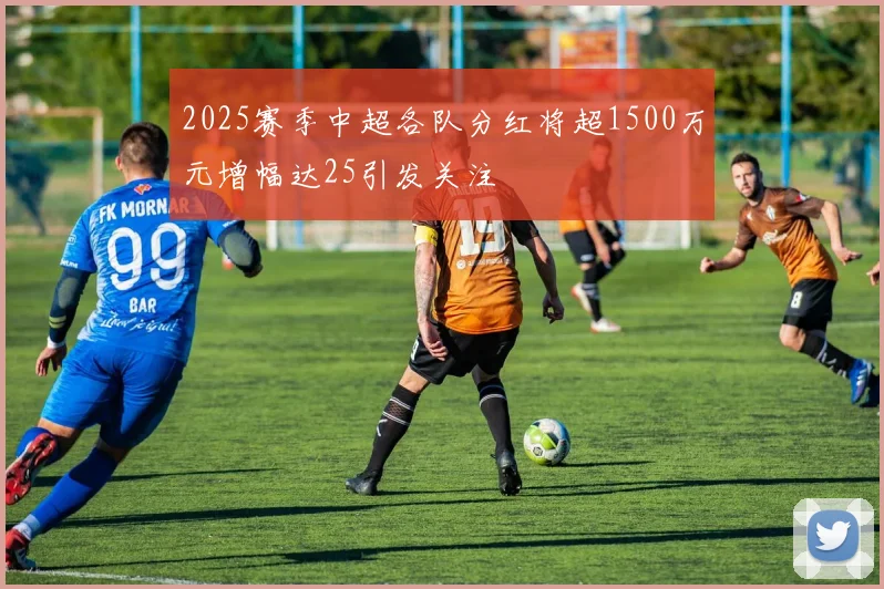 2025赛季中超各队分红将超1500万元增幅达25引发关注